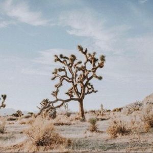 Meet your Posher, Katelyn